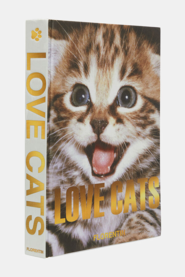 Love Cats 2