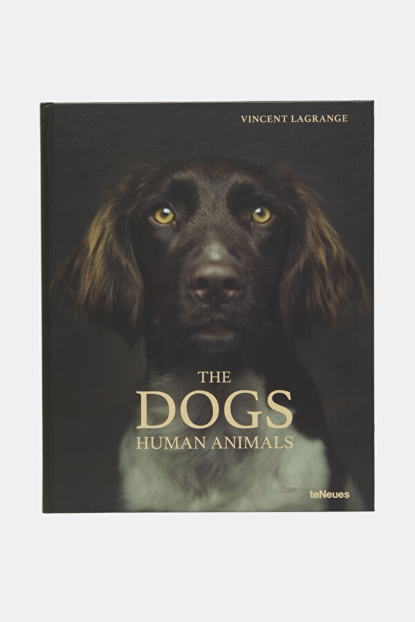 The Dogs