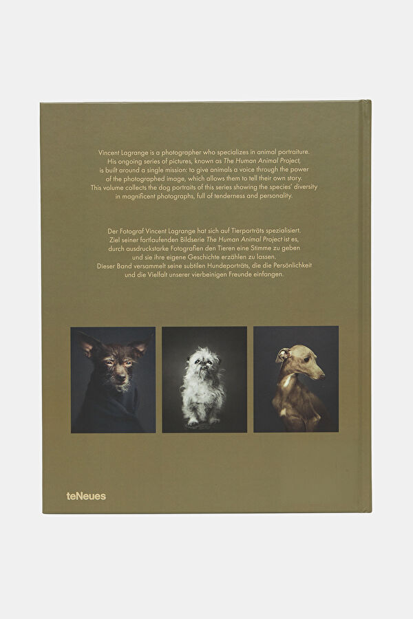 The Dogs 3