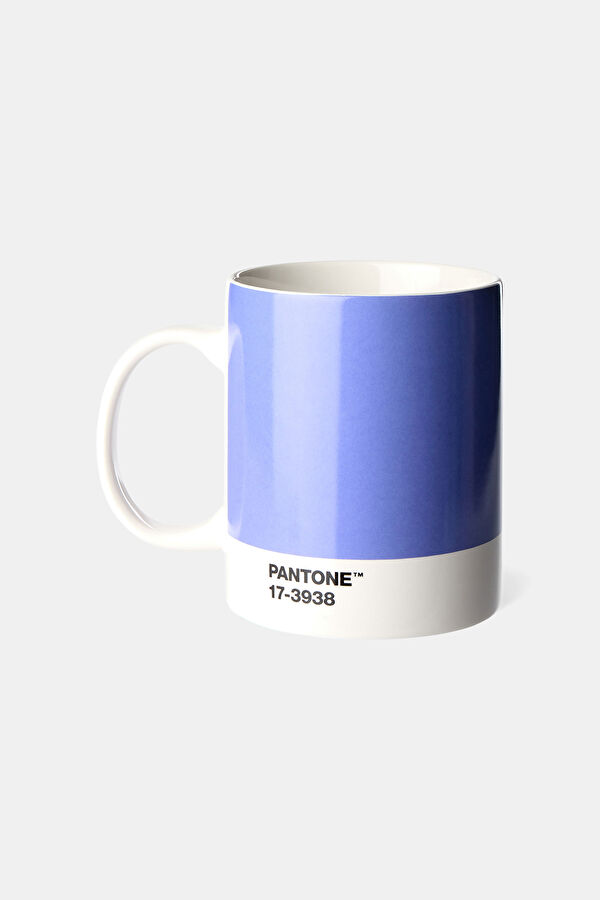 Pantone Mug C22