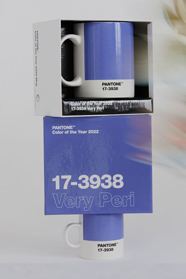 Pantone Mug C22 3