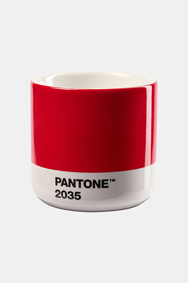 Machiato Cup