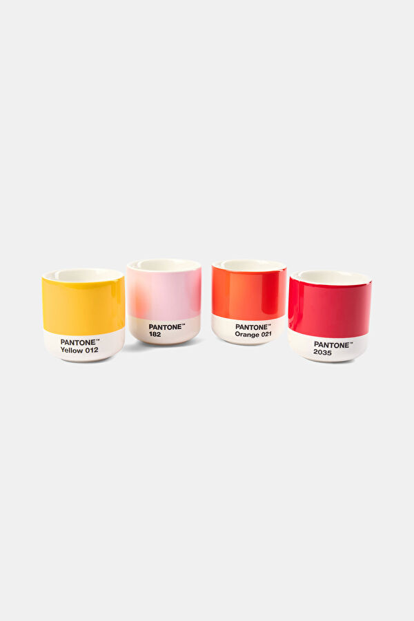 Latte Thermo Mug
