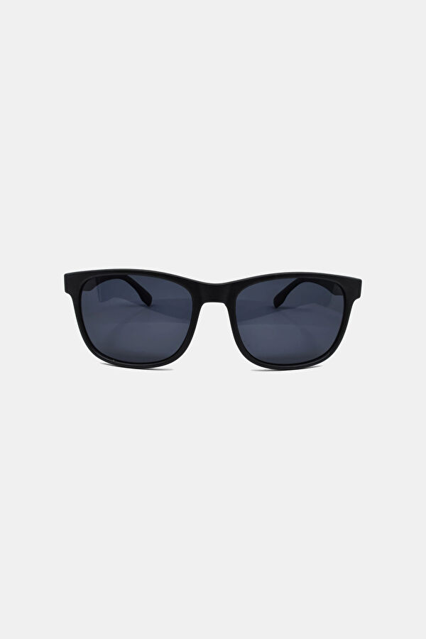 Stingray Sunglasses