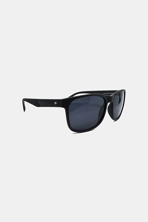 Stingray Sunglasses 2