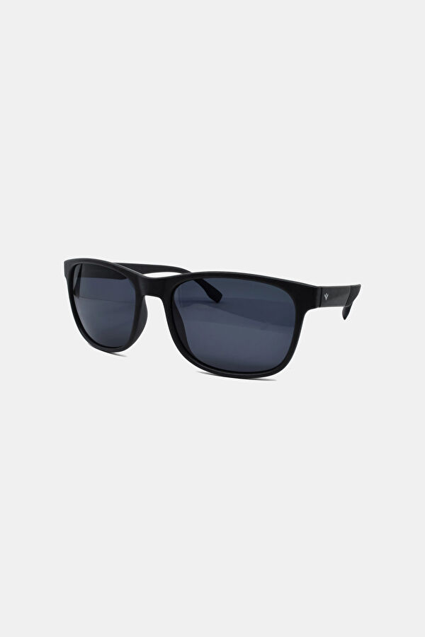 Stingray Sunglasses 5