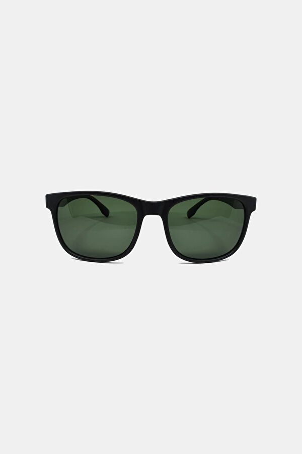 Stingray Sunglasses
