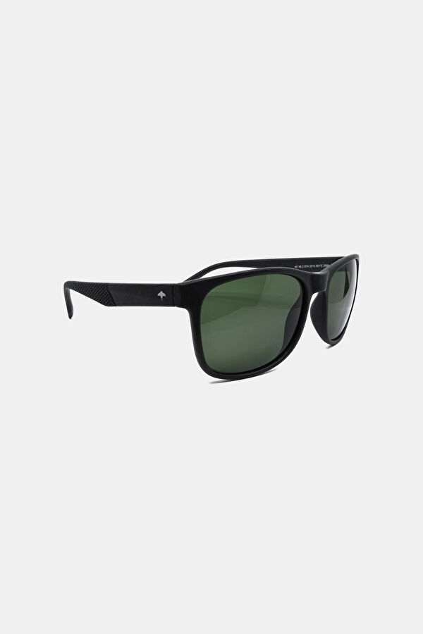 Stingray Sunglasses 2