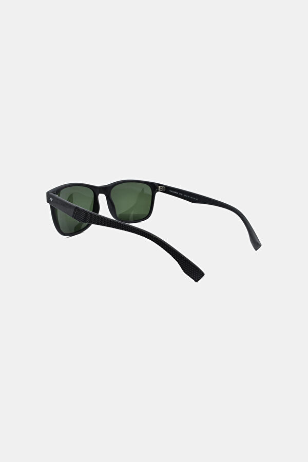 Stingray Sunglasses 4