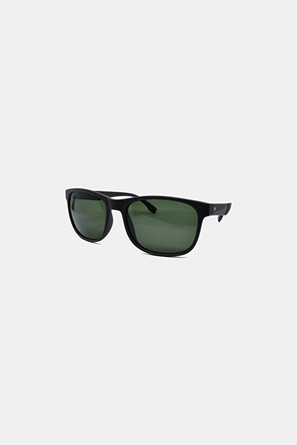 Stingray Sunglasses 5